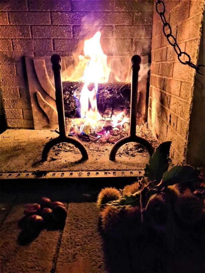 Incantevole Casa Sul Fiume, Relax E Natura Ai Piedi Della Alpi Apuane มาสซา ภายนอก รูปภาพ